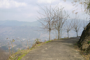 山间小径 远眺朦胧景致