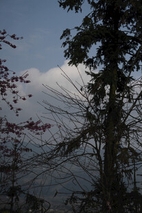 山林间的朦胧景致