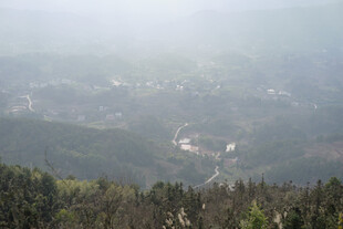 山间雾景下的村落风光