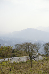 山间景致 树木与朦胧远山