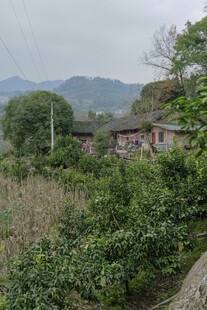 乡村田园风光 宁静村落