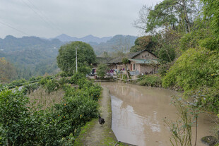 乡村田园风光景致