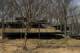 荒废树林中的废弃建筑