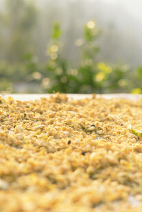 金黄谷物铺展