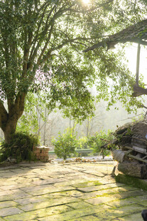 阳光洒落的静谧庭院角落