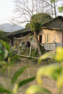 乡村老旧房屋及周边景致