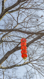 树枝上的红色灯笼挂件