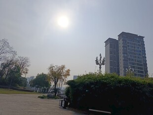 城市公园旁的高楼景观