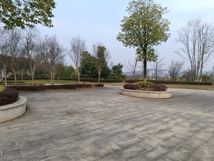 户外空旷广场场景