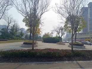 城市冬日街道景观