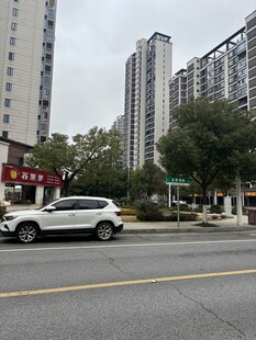 城市街道旁的白色车辆