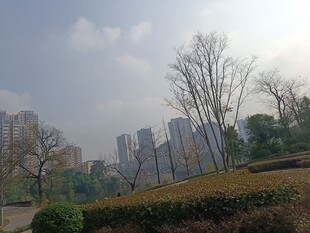 城市公园的冬日景致