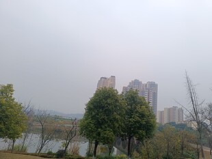 城市湖畔风景