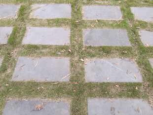 石板铺就的草地小径