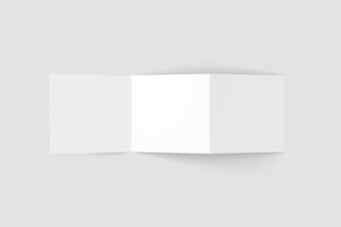 空白三折页展示样机
