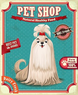 可爱宠物店内的长毛犬