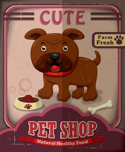 可爱宠物店的萌趣小狗