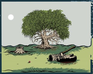 树下休憩的复古拖拉机
