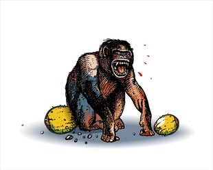 咆哮猩猩与黄色球体