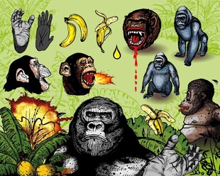 丛林中的猿类与热带水果