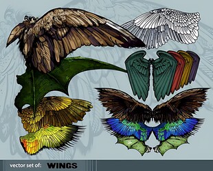 多样风格翅膀图案设计