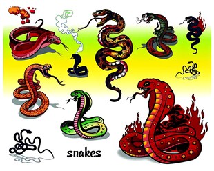 多彩酷炫蛇类插画作品