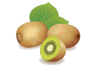 新鲜猕猴桃饱满多汁