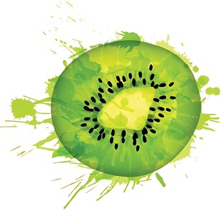 水彩风格猕猴桃切片图