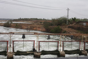水闸设施 周边自然景象