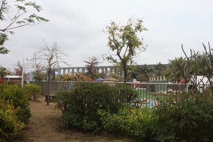 户外园林景观场景