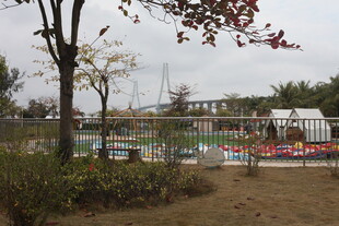 户外景色中的多彩游乐设施