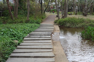 林间木栈道旁的潺潺溪流