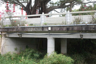 古朴石桥伴绿植与繁花