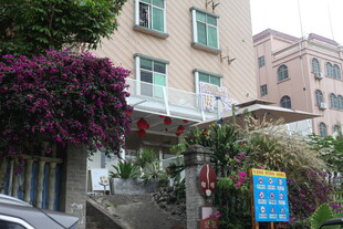 居民楼外盛开的繁茂花枝