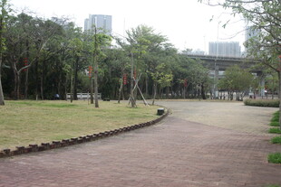 城市中的静谧林间小路