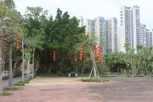 城市中静谧的园林景观