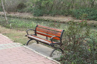 公园中的木质长椅