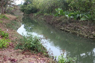 乡村小河畔的自然景致