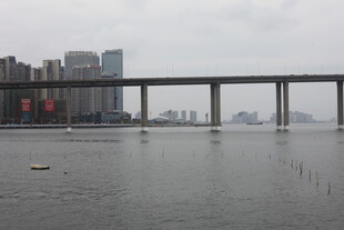 城市江景中的高架桥