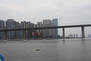 城市江景与跨江大桥