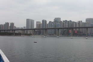 江边城市建筑群风景