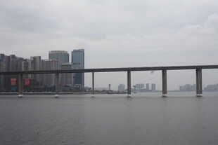 城市江景中的跨江大桥