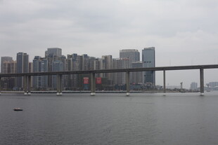 城市江畔桥梁与高楼景观