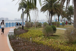 海滨步道的惬意休闲时光