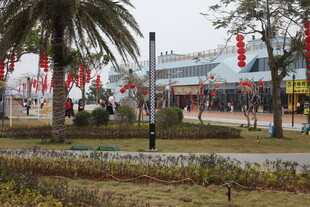 城市街道旁的绿化景观