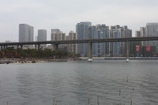 河畔城市景观 桥梁横跨水域