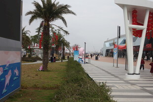 海滨城市街道景观