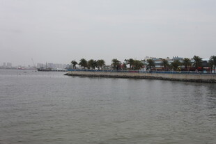 海滨风光 岸边绿树映水面