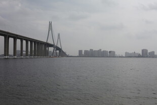 跨海大桥与城市天际线