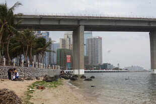 城市江边桥梁风景图